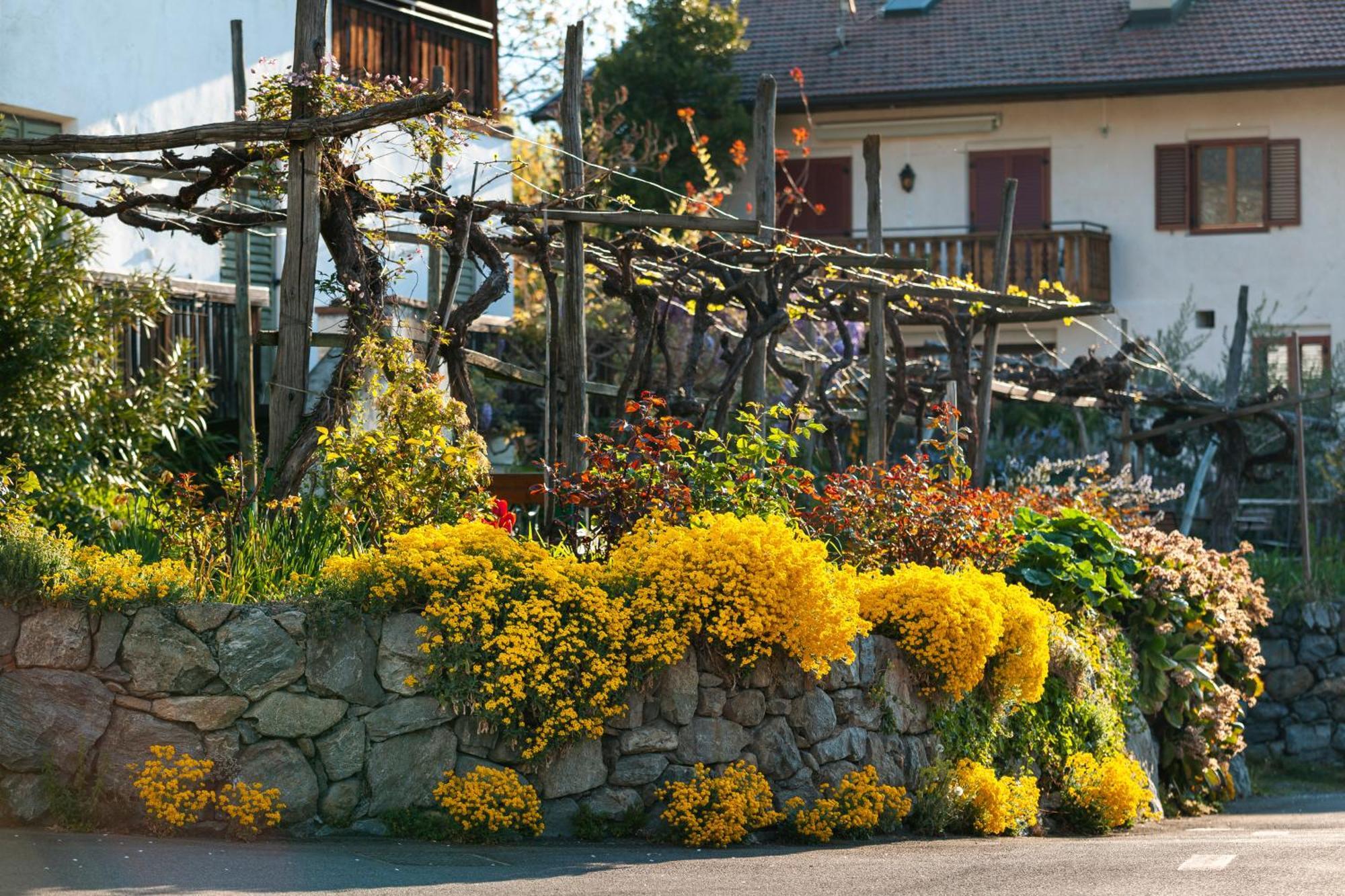 Ferienwohnungen St Hippolyt Mit Hallenbad Algund Exterior foto